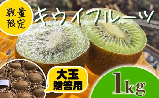 【先行予約】【1月上旬~順次発送】キウイ フルーツ 無農薬 グリーンキウイ 腸活 健康 甘い 手でむける キウイフルーツ みつばちキウイ 大玉 1kg 贈答品 贈答用 贈り物 栽培期間中農薬・化学肥料不使用 デザート 果物 くだもの 国産 愛知県 南知多町 【配送不可地域：北海道 青森 秋田 岩手 沖縄 離島】