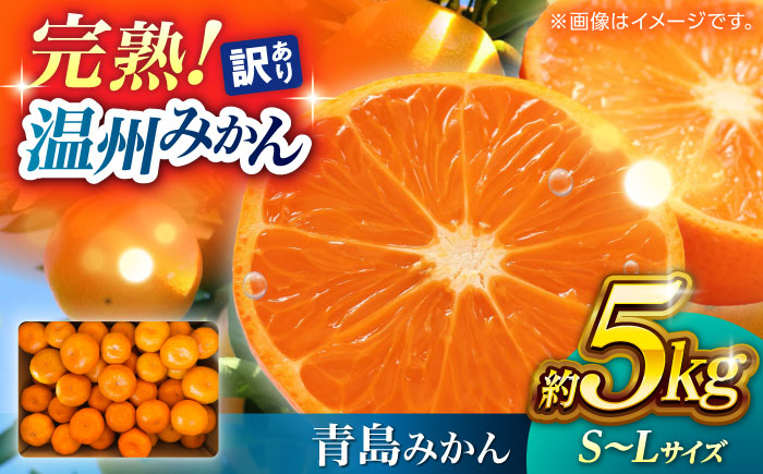 
                  【先行予約】 訳あり 温州みかん 『青島』 約5kg S〜Lサイズ 【奥村果実園】 [ZFK001]
                