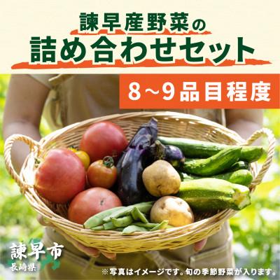 ふるさと納税 諫早市 【毎月定期便】諫早産野菜の詰め合わせ(8〜9品目)全12回