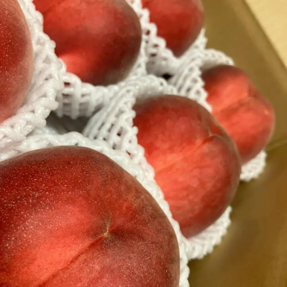 すーさんの果樹屋　【先行予約】川中島の桃 約2kg 品種おまかせ  7月下旬～8月上旬発送予定 |桃 フルーツ