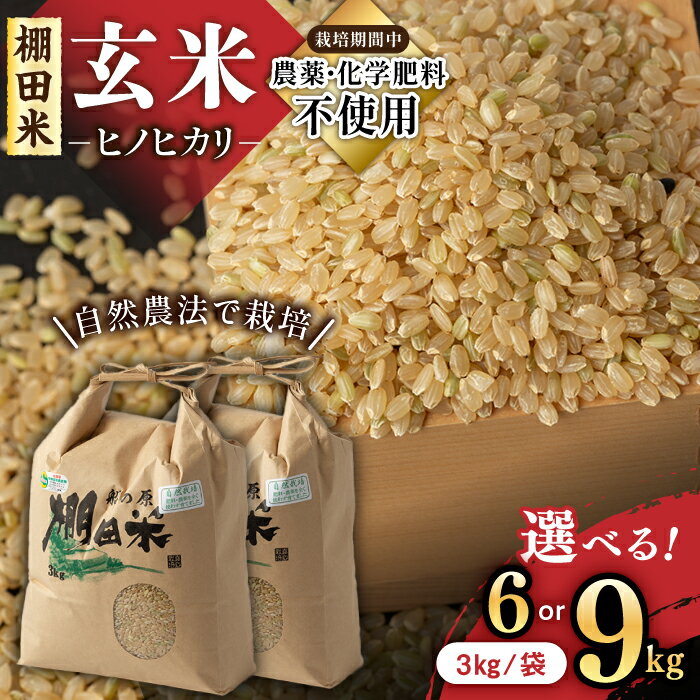 【ふるさと納税】【選べる内容量】令和6年産 自然農法で育てた 佐賀県産 棚田玄米ヒノヒカリ 6kg（3kg×2袋）/ 9kg（3kg×3袋） /永尾忠則 [UAS007] 米 お米 特別栽培米 玄米
