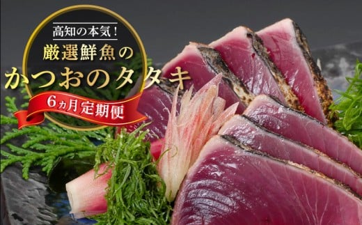 かつおのタタキ 【 定期便 6回 】 厳選 産地直送 小島水産 にんにく タレ 付き 鰹 かつお タタキ 本場 土佐 わら焼き 刺身 鮮魚 高知県 須崎市