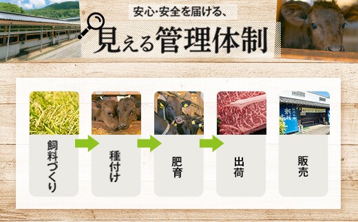 ＜A4～5等級＞鹿児島県産黒毛和牛サーロインステーキ(計約800g・約200g×4枚)