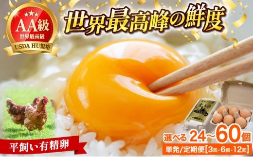 
                   ＜選べる＞鮮度AA級の世界最高ランク！金太郎卵 平飼い たまご 24個（6個×4パック）
                