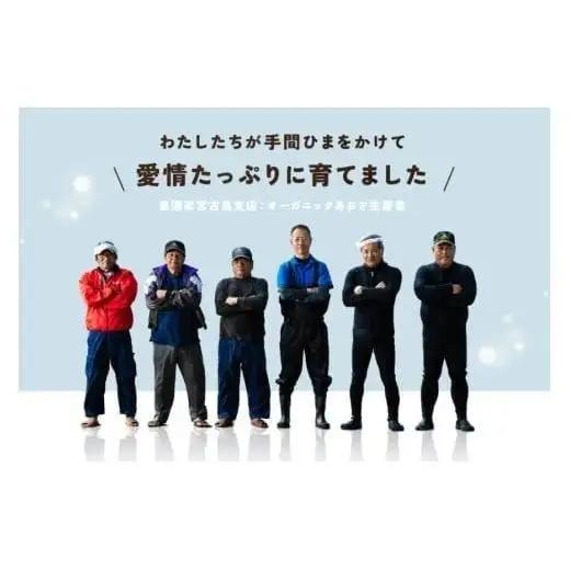 宮古島の環境だから実現できた『オーガニックあおさ』6袋セット（GF002）