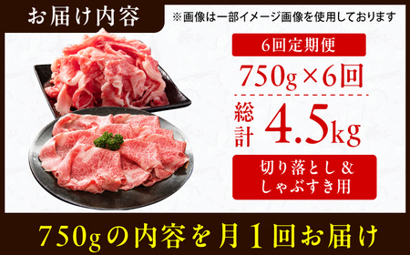 【全6回定期便】【訳あり】博多和牛 しゃぶしゃぶ すき焼き 750gセット 牛肉 博多和牛 しゃぶしゃぶ すき焼き 訳あり ロース バラ モモ 広川町/株式会社MEAT PLUS[AFBO032] 和