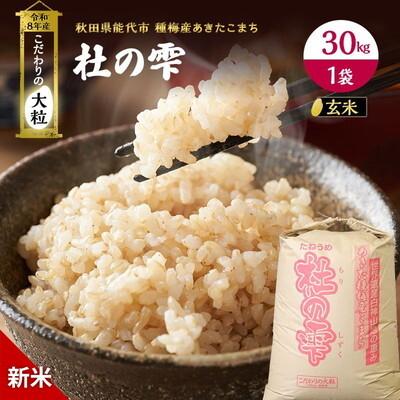 ふるさと納税 能代市 先行予約 新米 令和8年 あきたこまち 30kg 玄米 [No.5335-0208]