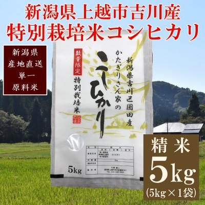 ふるさと納税 上越市 ★数量限定★令和7年産・新潟県上越市吉川区国田産・特別栽培米コシヒカリ精米5kg