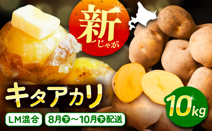 北海道産 じゃがいも きたあかり 10kg（LM混合）《足寄町》【党崎農場】ジャガイモ じゃがいも 国産 野菜 ポテト 芋 イモ いも 肉じゃが カレー キタアカリ きたあかり 道産 寒冷地 あしょろ 北海道 [BEAA007]