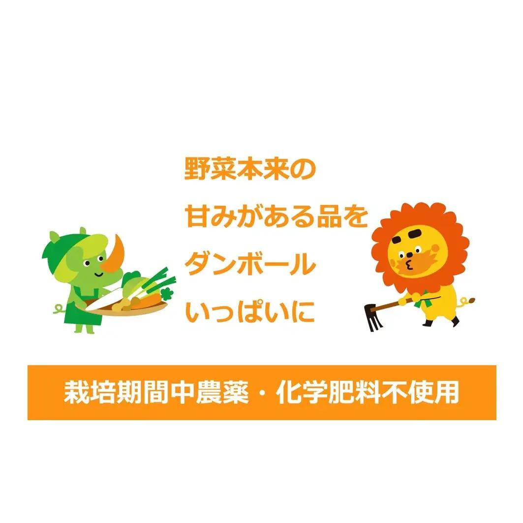 野菜 定期便 3ヶ月 2～4名様向け 野菜6種 セット＋加工品 旬の野菜 生野菜 やさい 新鮮 鮮度 産地直送 詰め合わせ 冷蔵 千葉 定期 お楽しみ 3回 