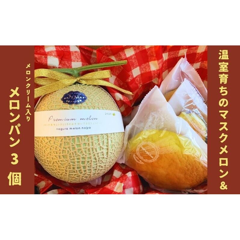 【先行予約】マスクメロン＆メロンパンセット メロン 人気 おやつ 厳選 ギフト 贈り物 デザート グルメ フルーツ 果物 袋井市 果物類 メロン青肉 菓子パン 
