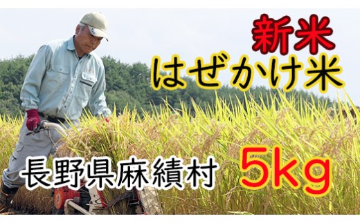 先行予約 信州麻績産 はぜかけ米 数量限定 期間限定 5kg 自然乾燥 コシヒカリ 5kg 長野県 信州 麻績村 麻績