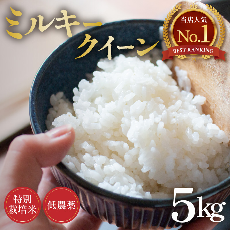 【先行予約】【令和8年産 新米】ミルキークイーン 5kg 精米 特別栽培米 低農薬 《食味値85点以上！こだわり精米》 / 福井県 あわら市 北陸 米 お米 人気 白米 精米 ※2026年9月上旬より順次発送 [aw032-a014]