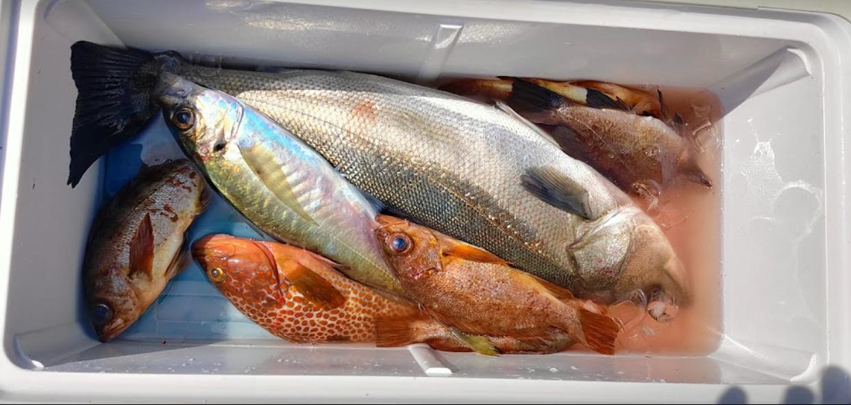 船釣り体験