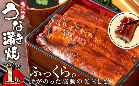 2520 鹿児島産うなぎ160g×1尾 清らかな地下水育ち！ 国産 本格 うなぎ 鰻 蒲焼（鹿児島） KN021-013-01 ウナギ うなぎ蒲焼 鰻蒲焼き ウナギ蒲焼 惣菜 総菜 魚類 魚貝類 魚介類 海産物 鰻重 うな重 ひつまぶし 鰻丼 土用の丑 魚 冷凍 財宝 ふるさと納税 鹿児島 鹿屋市 おすすめ ランキング プレゼント ギフト