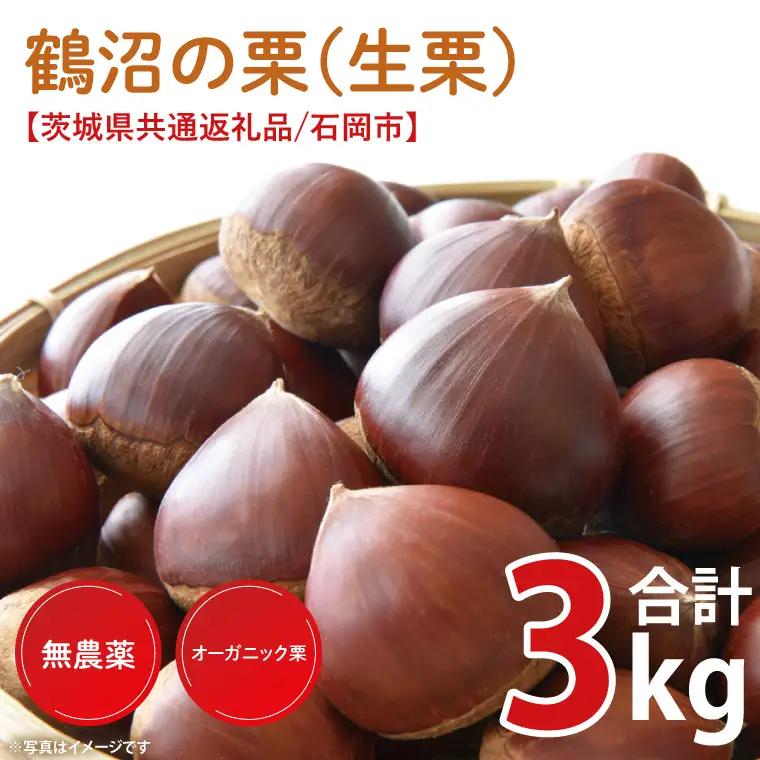 【2026年9月中旬より順次発送】石岡市鶴沼の栗（生栗）3kg（茨城県共通返礼品/石岡市）（KN-6）