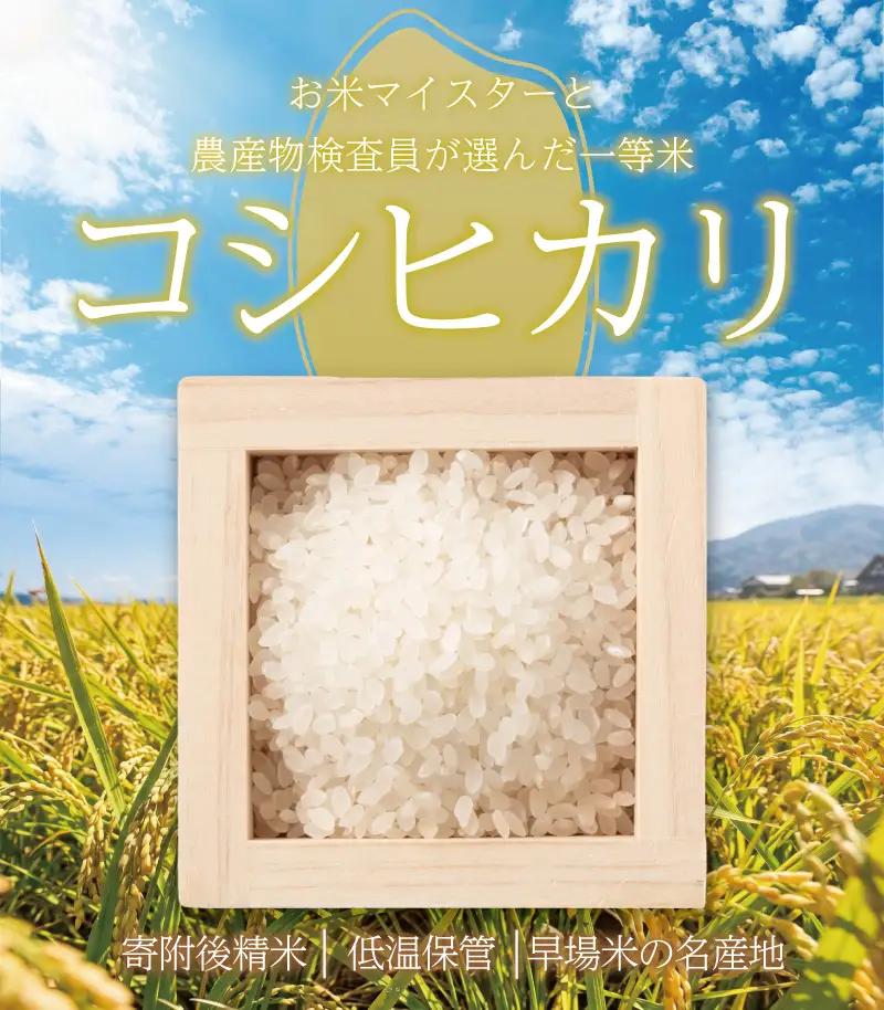 新米【9月以降発送】コシヒカリ5kg｜新米