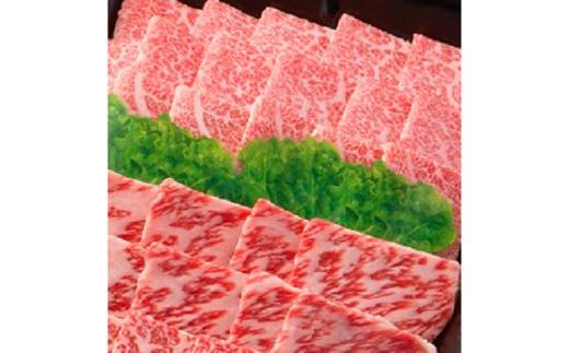 【飛騨牛】肉厚ロースと霜降りカルビの詰め合わせ 焼肉用 計800g 岐阜県産 黒毛和牛【配送不可地域：離島】
