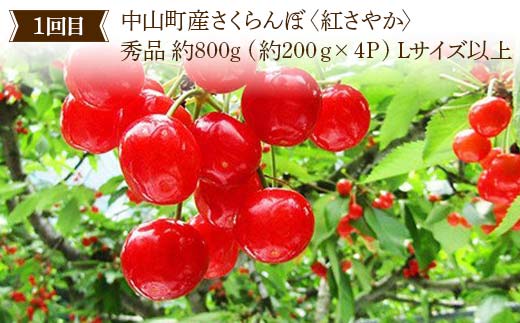 2026年6月発送開始 先行受付 山形県 至高のフルーツ！ 山形県中山町厳選フルーツ定期便 全4回 さくらんぼ 桃 シャインマスカット ラ・フランス 山形県 中山町 F4A-0477