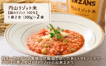 からだに優しい低GI食品 円山リゾット米 3種セット【 越の リゾット ブレンド コシヒカリ 】 [A-131001]