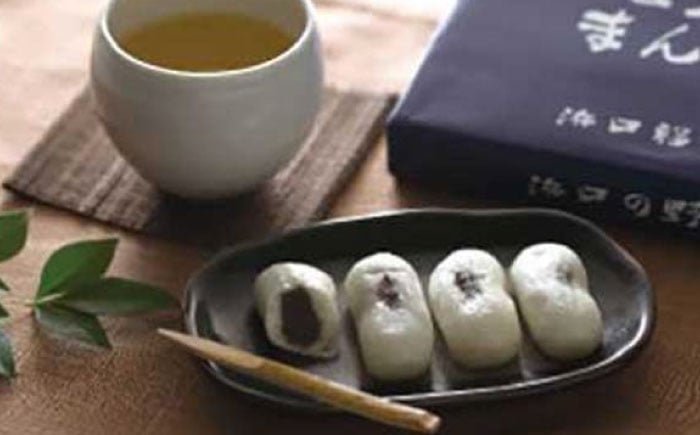 
創業明治維新 浜口福月堂の野根まんじゅう ４８個入（２４個入り×２箱）
