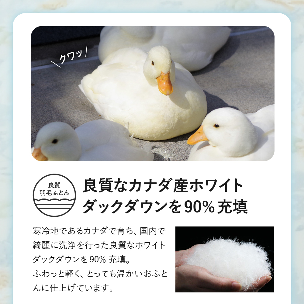 シルク100%生地使用 カナダ産ホワイトダックダウン90% 最高級羽毛掛け布団 シングル オフホワイト