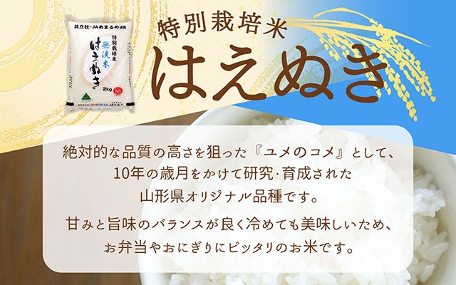 庄内町産 特別栽培米 はえぬき 無洗米 10kg 5kg×2袋 令和7年産 2025年産 余目産 余目町農協 あまるめ ブランド米 米 国産 単一原料米 山形 庄内平野 コシヒカリの原点、亀の尾発祥の地 庄内