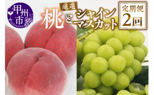 【定期便】甲州市産 厳選 もも×シャインマスカット『フルーツ定期2回便』【2026年発送】（APX）C-175 【桃 もも モモ シャインマスカット 葡萄 ぶどう ブドウ 令和8年発送 期間限定 山梨県産 甲州市 フルーツ 果物】