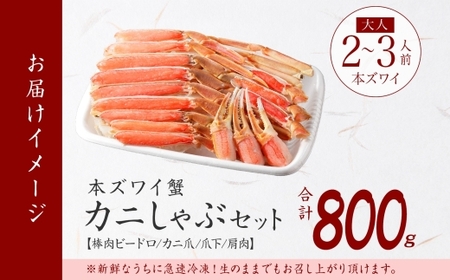 1736.ズワイ蟹しゃぶ800g前後セット 食べ方ガイド付 生食 生食可 約2－3人前 カニ かに 蟹 海鮮 鍋 しゃぶしゃぶ ズワイガニ 送料無料 北海道 弟子屈町