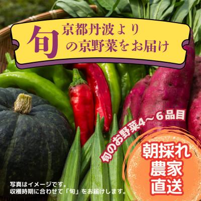 ふるさと納税 南丹市 【京都丹波より旬をお届け】朝採れお任せ季節の京野菜4〜6種類セット〜農家直送〜