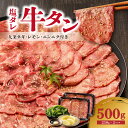 【ふるさと納税】≪お歳暮≫【大盛九条ネギ】塩ダレ牛タン500g 牛タン セット 上田式焼肉 肉屋 京都九条ネギ 250g×2 タン 小分け 冷凍 真空パック 焼肉 肉 薄切りスライス BBQ 京都 ≪12月13日〜12月20日以内に発送≫