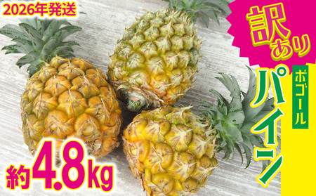 パイン【2026年発送】訳ありパイン 4～8玉 約4.8kg（ボゴール）