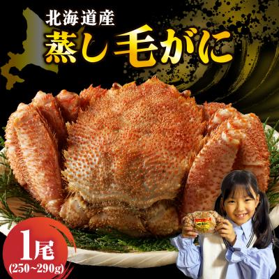 ふるさと納税 えりも町 北海道産活蒸し毛蟹約250g〜約290g×1尾【er001-107-a】