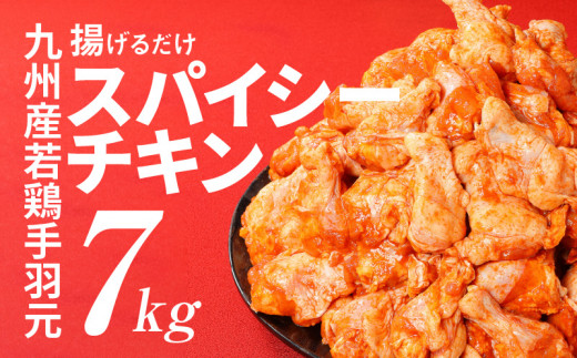 
                  【通常発送】宮崎県産 訳あり 揚げるだけスパイシーチキン7kg_K16_0081_2
                