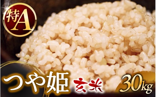つや姫 玄米 30kg 新米 令和8年産 / つや姫 米 玄米30kg 宮城県産 米 大容量 家庭用【2026年11月より順次発送】【sato001】
