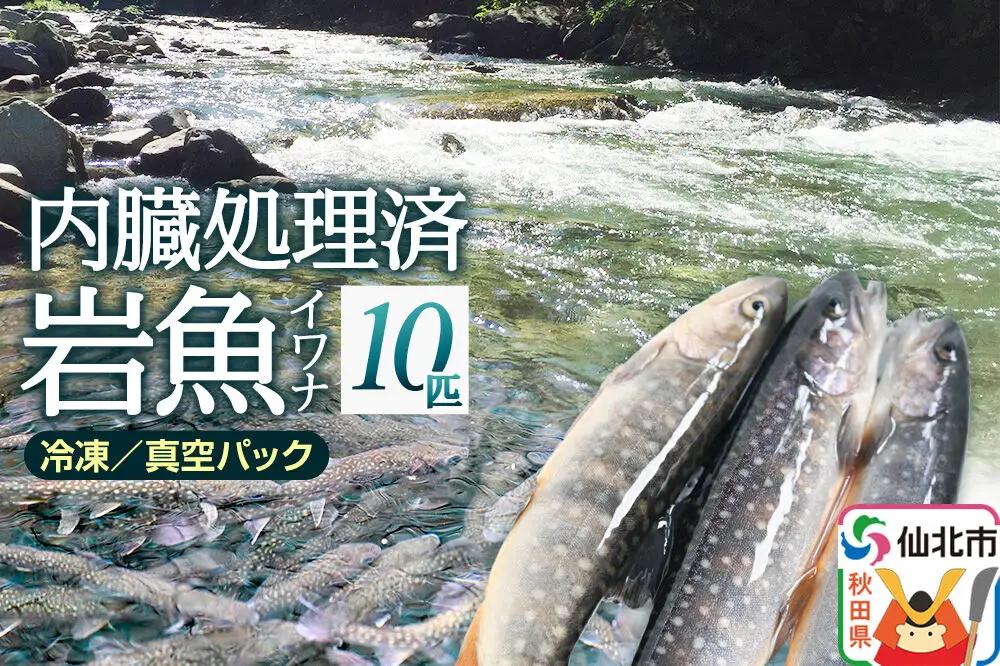 岩魚（イワナ）冷凍 内臓処理済み 10匹 長四郎
