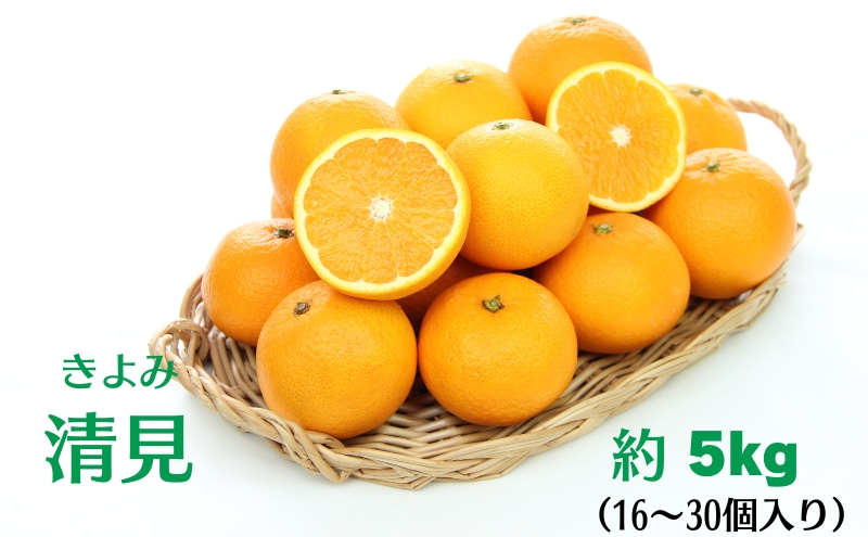 清見　約5kg 果物類 柑橘類 フルーツ みかん