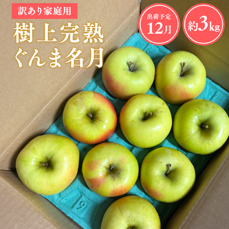 ≪令和7年産先行受付≫家庭用 樹上完熟ぐんま名月約3kg【青森県 平川市 山内ファーム】家庭用 平川市産 青森りんご りんご リンゴ 林檎 完熟 群馬名月 名月 お取り寄せ 先行予約 果物 くだもの フルーツ
