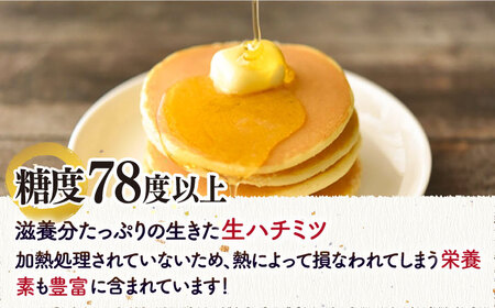 和蜂蜜（ニホンミツバチ）600g《壱岐市》【和蜂ファーム壱岐】[JDP003] ハチミツ 蜂蜜 はちみつ 日本ミツバチ 35000 35000円  コダワリはちみつ・蜂蜜・ハチミツ こだわりはちみつ・