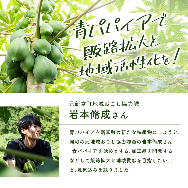 ～パパイア王子謹製～青パパイアマイルドグリーンカレー＆パパイア果実茶（ティーバッグ20P×2袋）【C324】_イメージ5