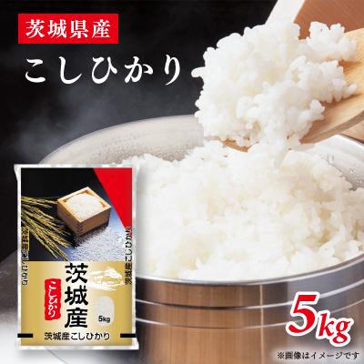 ふるさと納税 稲敷市 【令和7年産】代表的なお米　茨城県産コシヒカリ5kg