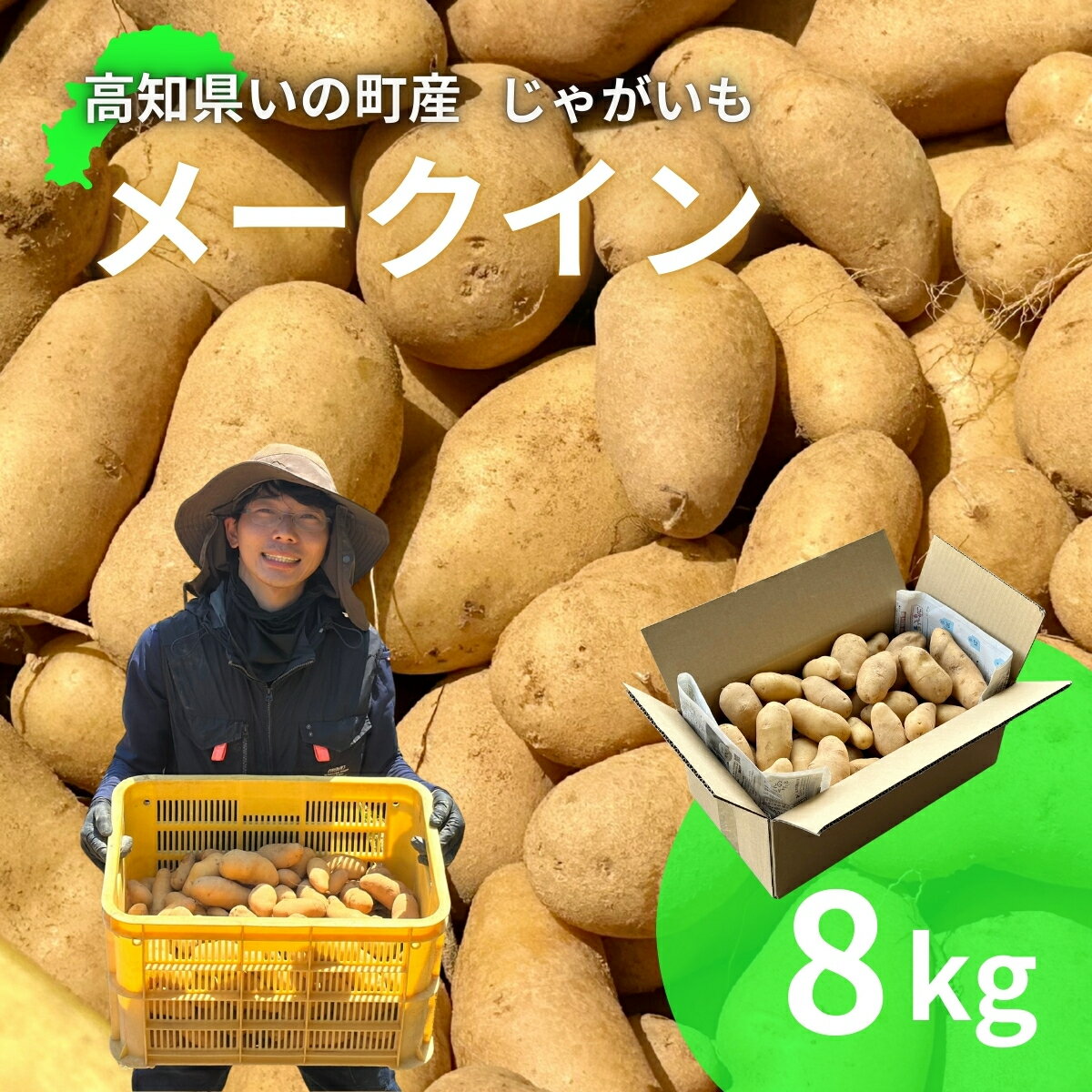 【ふるさと納税】じゃがいも8kg（メークイン）