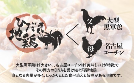 鶏肉 飛騨地鶏 むね肉 1kg(2パック) 鶏肉 [DK033]