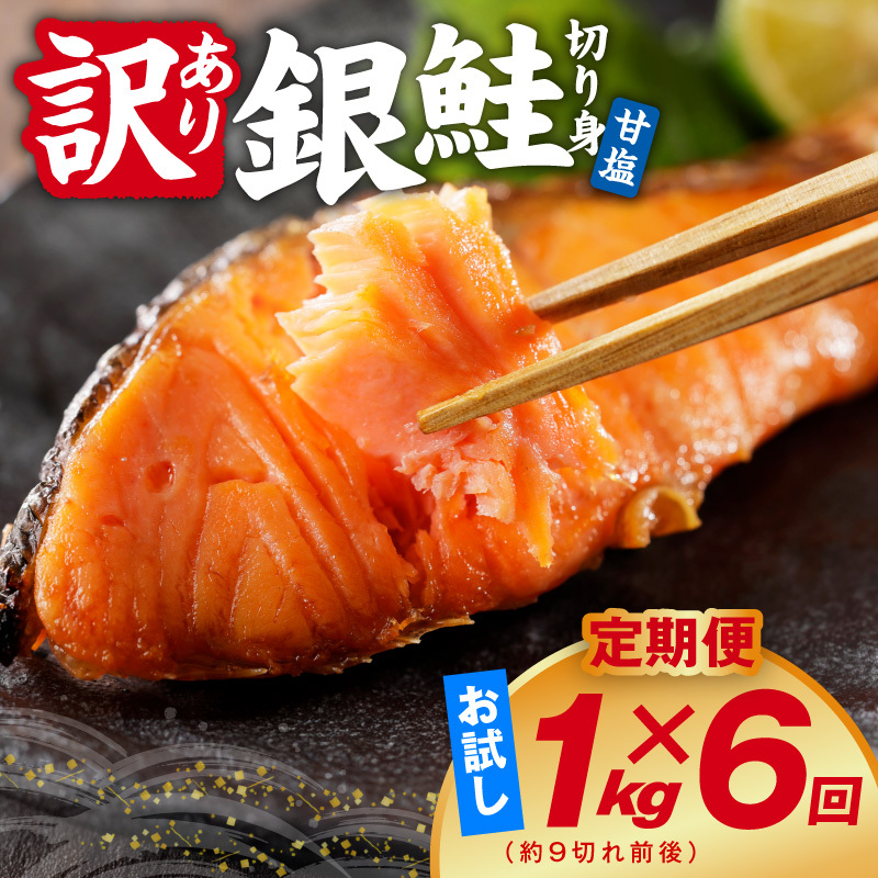【定期便】銀鮭 切り身 1kg(約9切れ前後) 全6回【訳あり 規格外 甘塩 バラ凍結 海鮮 魚介 鮭 さけ しゃけ お弁当 朝食 おかず 簡単調理】 G4976