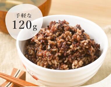 定期便 6ヶ月 ご飯パック 金賞 健康米 玄米・黒米 120g×12個入り ごはん パック ご飯 パックライス