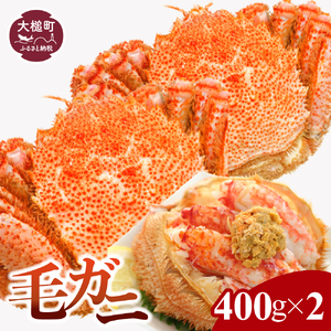 【令和8年発送】三陸産 三陸活毛ガニ 400g×2杯【2026年3月～4月発送】【05】