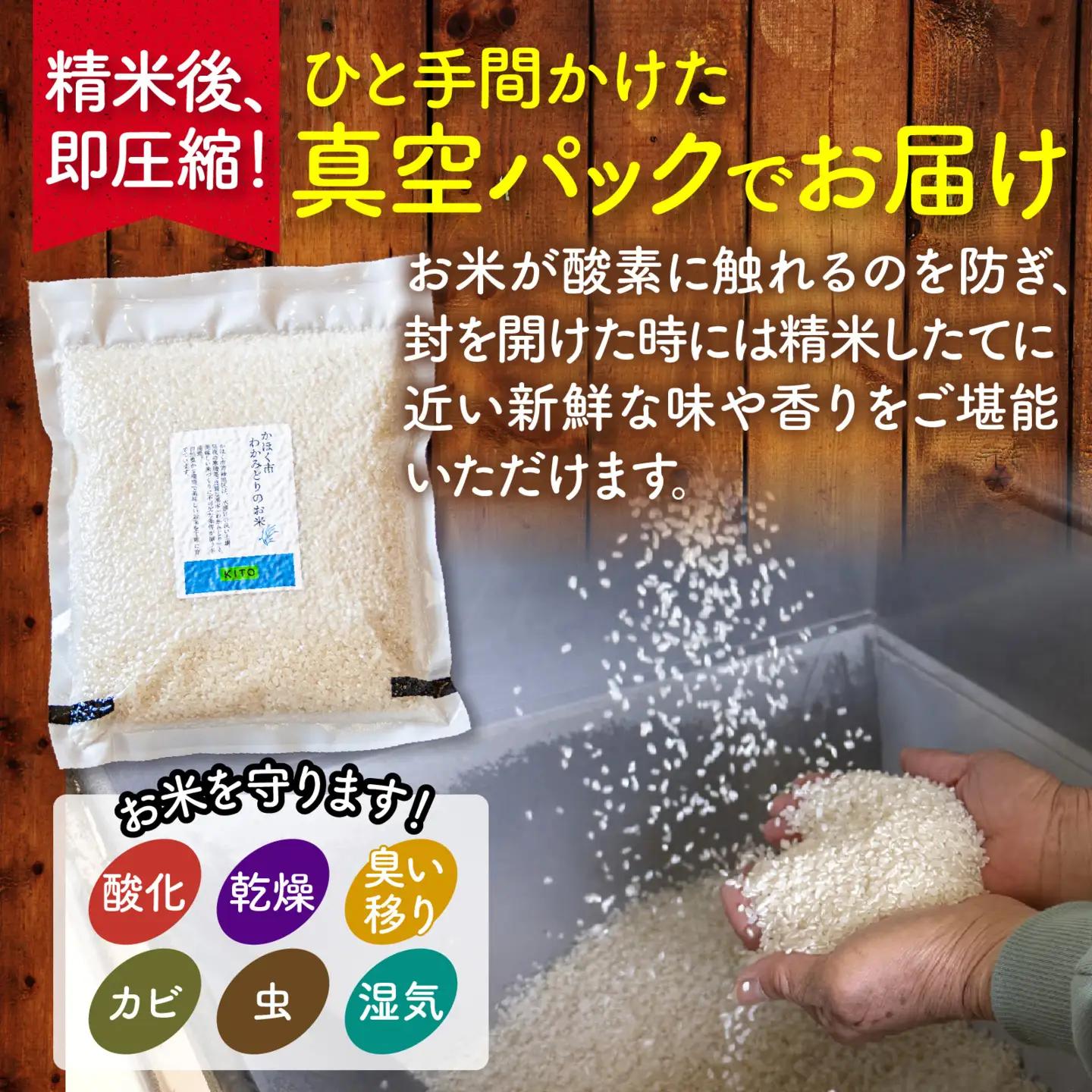 【令和7年産】こしひかり 2kg（1kg × 2袋） |  コシヒカリ お米