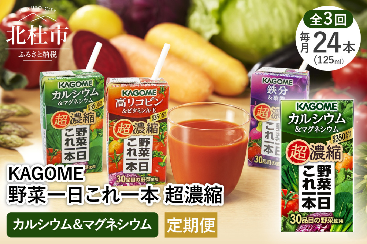 【3ヵ月定期便】カゴメ 野菜一日これ一本 超濃縮 カルシウム＆マグネシウム 125ml 紙パック 24本入 （野菜ジュース）