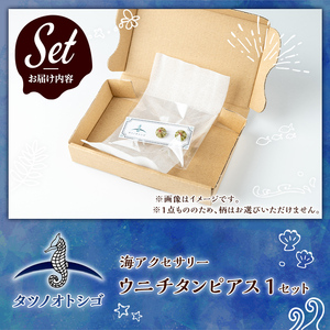 海アクセサリー ウニチタンピアス (1セット) アクセサリー ピアス チタンピアス ハンドメイド 手作り 耳飾り ギフト プレゼント 贈り物 雲丹 うに ウニ殻 1点もの オリジナル 数量限定 【タツ