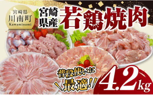 宮崎県産 若鶏 焼肉 4.2kg 【 もも 砂肝 小肉 チキンリブ 肩肉 鶏肉 とり肉 真空パック 】